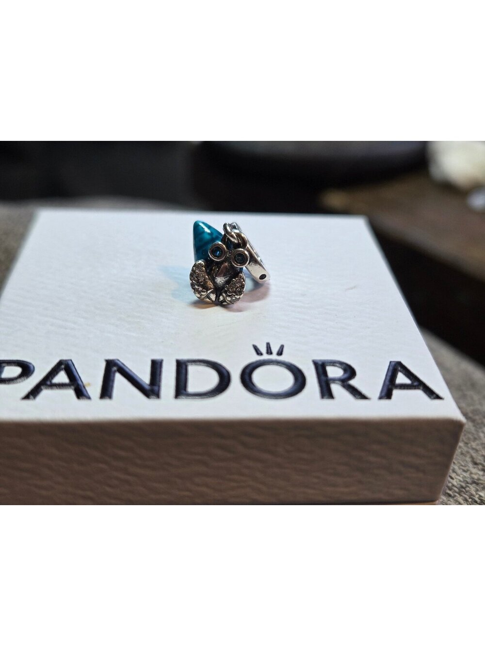 Pandora hermit crab